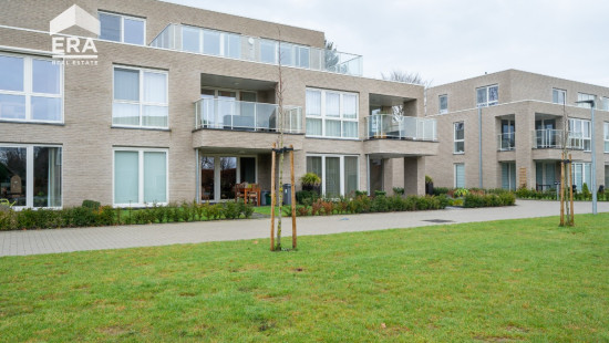 Lindendreef - 62 G - Bus 2 - 2320