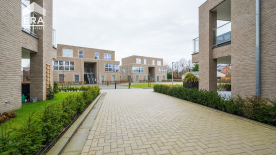 Lindendreef - 62 G - Bus 2 - 2320