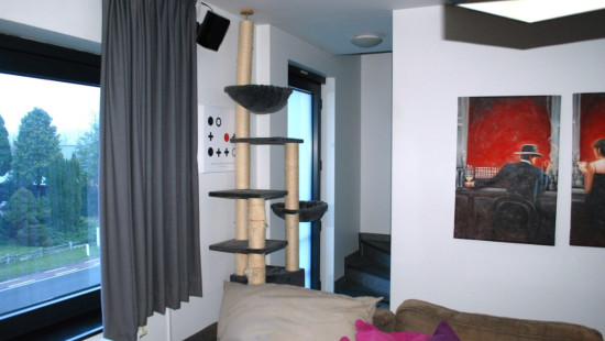 Steenweg - 169 - 1.1 - 3590