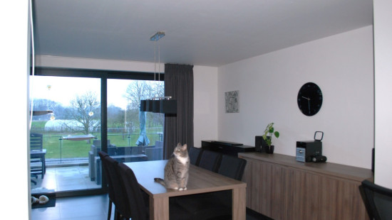 Steenweg - 169 - 1.1 - 3590