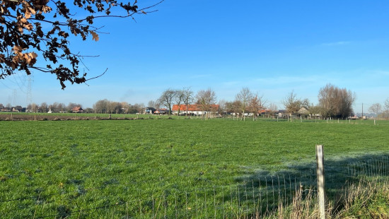 Waffelstraat - 36 - - 8580