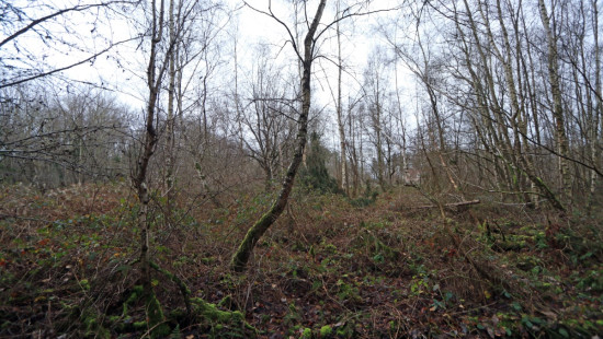 De heide - X - - 3201