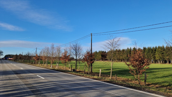 de Liège à Bastogne - RN 30 - - 6690