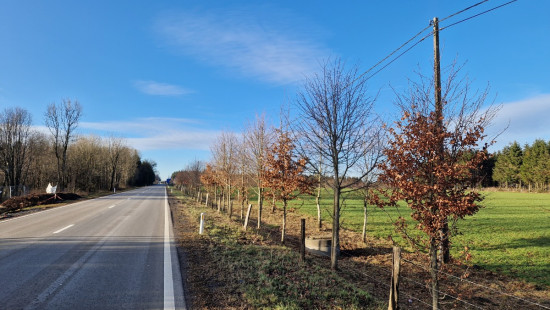 de Liège à Bastogne - RN 30 - - 6690