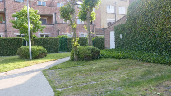 Balsemboomstraat - 29 - 00.01 - 8000