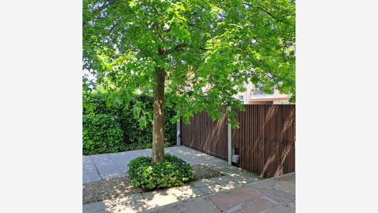 Harelbeekstraat - 35 - 1 - 8550