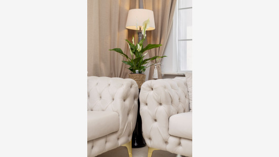 Sint-Pietersstraat - 72 - - 8880