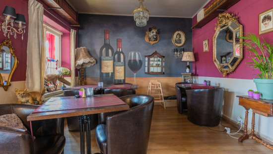 Antwerpsesteenweg - 845 - - 9040