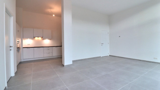 Rue du Tir de Ronet - 31-35 - - 1.C.11 - 5020