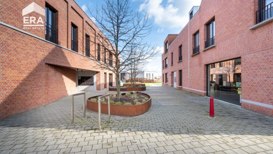 Meerdorp - 20 - 4 - 2321