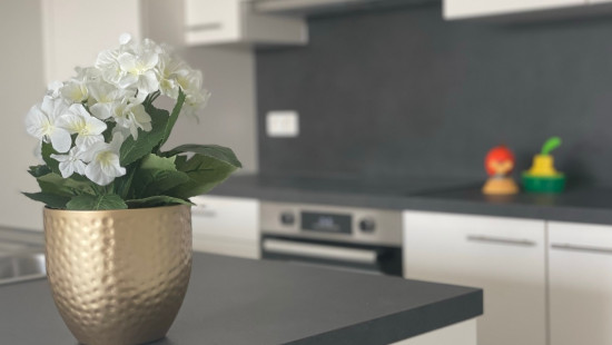 Zuidstraat - 42 - 201 - 8530