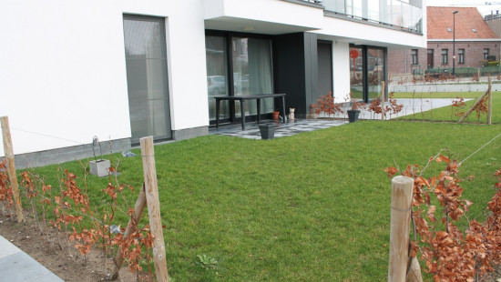 Lichterveldestraat - 45 - 0005 - 8750