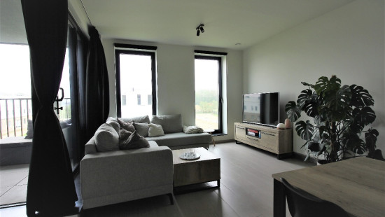 Frans Stormsstraat - 29 - 0201 - 2812