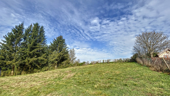 Rue de Saint-Hubert - 61 - - 6860