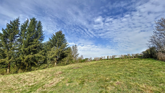 Rue de Saint-Hubert - 61 - - 6860