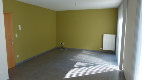 Panovenstraat - 3 - A1 - 3545