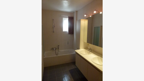 Panovenstraat - 3 - A1 - 3545