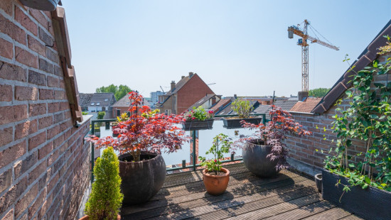 Schoolstraat - 80 - E - 9140