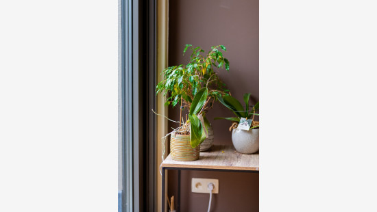 Kerkhofdreef - 10 - - 9290