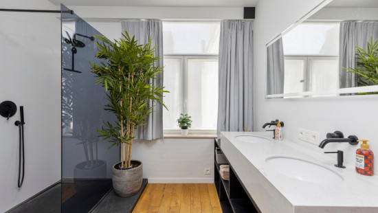 Albertstraat - 31 - - 8370