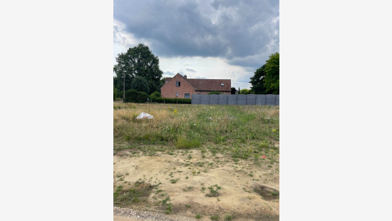 Kollebloem - zn - lot 3 - 3550