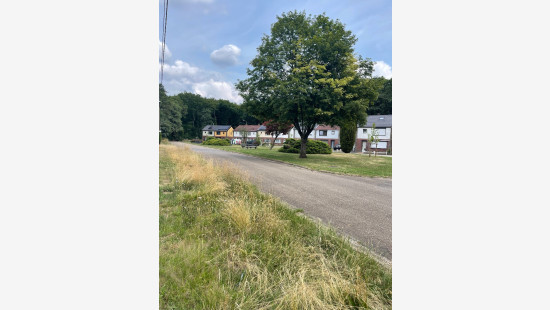 Kollebloem - zn - lot 3 - 3550