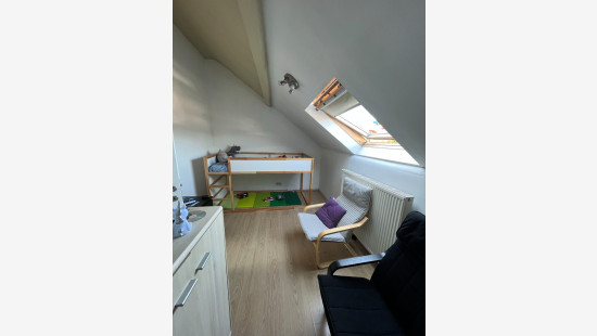 Route d'Ath - 224 - 1.1 - 7020