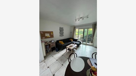 Route d'Ath - 224 - 1.1 - 7020