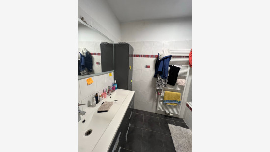 Route d'Ath - 224 - 1.1 - 7020