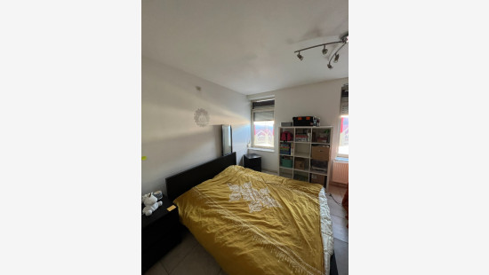 Route d'Ath - 224 - 1.1 - 7020