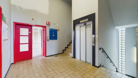 Rue Francois Bribosia - 9 - - 5500