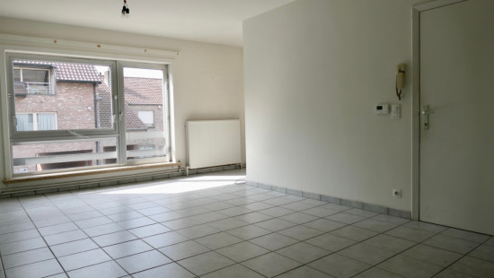 Hille - 88 - 01.01 - 8750