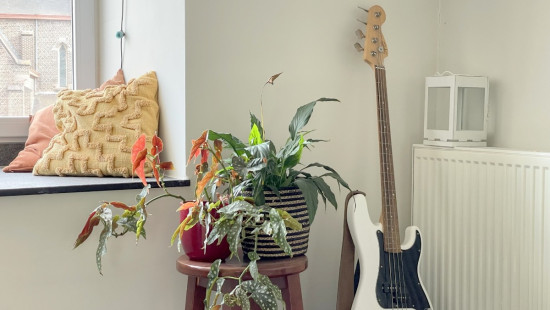 Brugsestraat - 8 - 031 - 8500