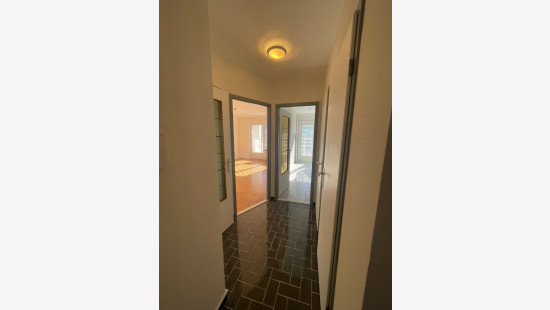 Avenue de l&#039;Arbre Ballon - 30 - W14 - 1090