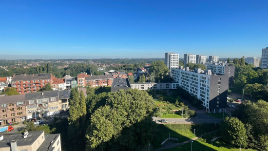Avenue de l&#039;Arbre Ballon - 30 - W14 - 1090