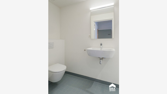 Maastrichtersteenweg - 29 - 2.9 - 3500