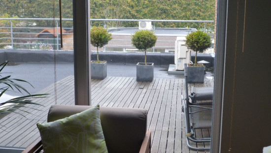 Wittemolenstraat - 20 - - 8200