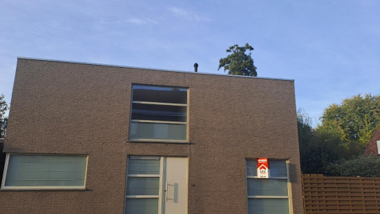 Hinnestraat - 62 - G - 8550