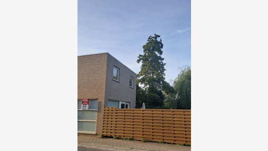 Hinnestraat - 62 - G - 8550