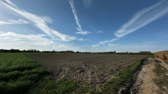 Lintheideveld - zn - - 1850