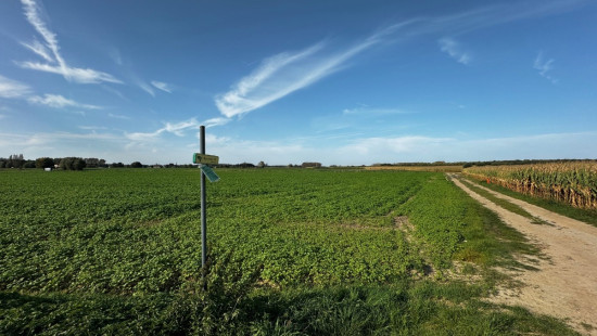 Lintheideveld - zn - - 1850