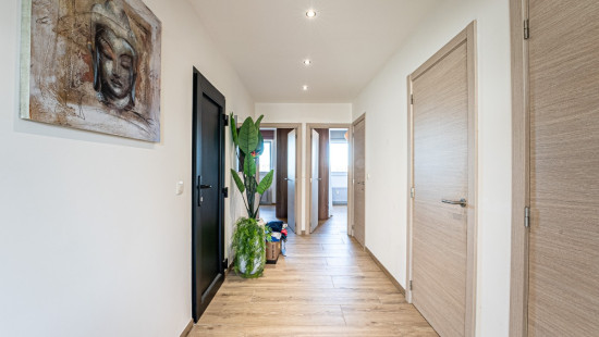 Rue de Plainevaux - 185 - - 4100