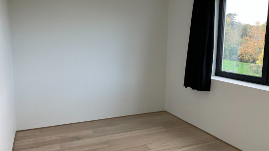 Steenovenstraat - 8 - - 1560