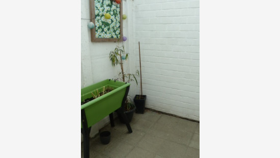 Koekoekstraat - 11 - a - 8793