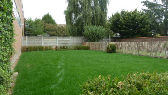 Sint-Rochusstraat - 1 - - 8540