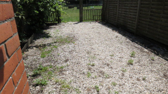 Ingelmunstersteenweg - 113 - - 8780