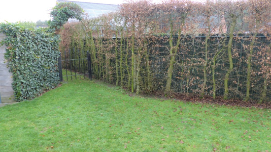 Tuinwijkstraat - 79 A - - 3545