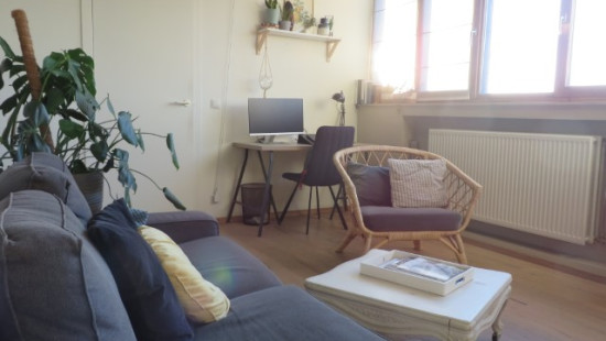 Pluimstraat - 1 - 0031 - 8500