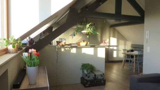 Pluimstraat - 1 - 0031 - 8500