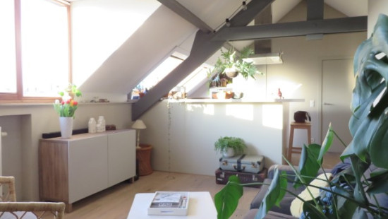 Pluimstraat - 1 - 0031 - 8500